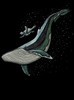 Whale and Turtle - Multicolor on Black Men's Pullover Hoodie