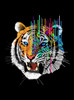 Melting Tiger - Multicolor on Heather Black and Grey Triblend Womens Raglan