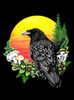 Raven Sunset - Multicolor on Heather Black and Grey Triblend Raglan