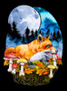Moon Fox - Multicolor on Heather Black and Grey Triblend Womens Raglan