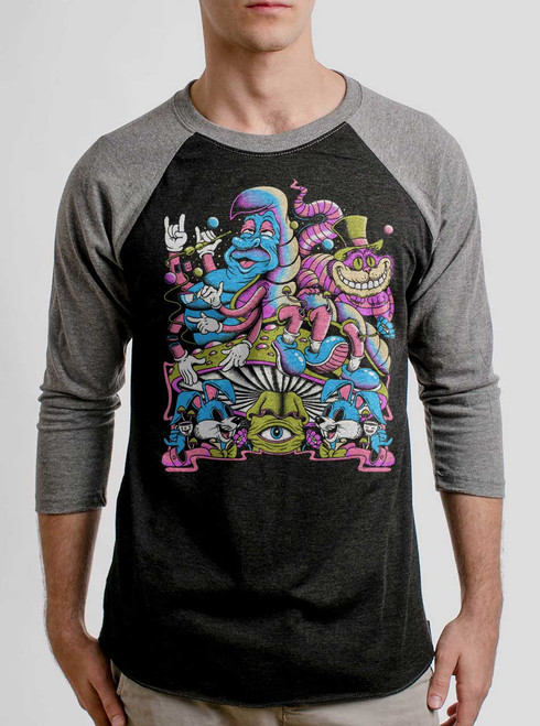 Wonderland - Multicolor on Heather Black and Grey Triblend Raglan