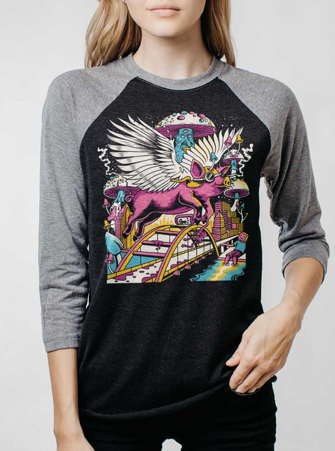Pigs Fly - Multicolor on Heather Black and Grey Triblend Womens Raglan