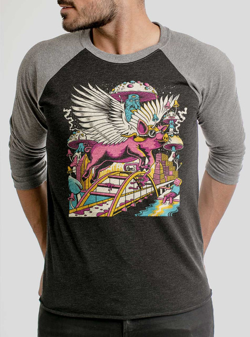 Pigs Fly - Multicolor on Heather Black and Grey Triblend Raglan