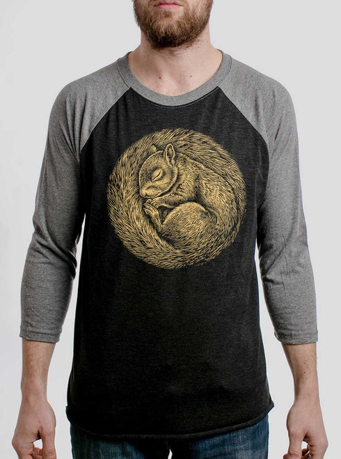 Squirrel Nap - Multicolor on Heather Black and Grey Triblend Raglan