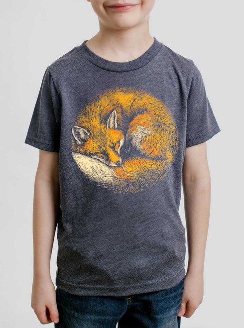 Fox Nap - Multicolor on Heather Black Triblend Youth T-Shirt