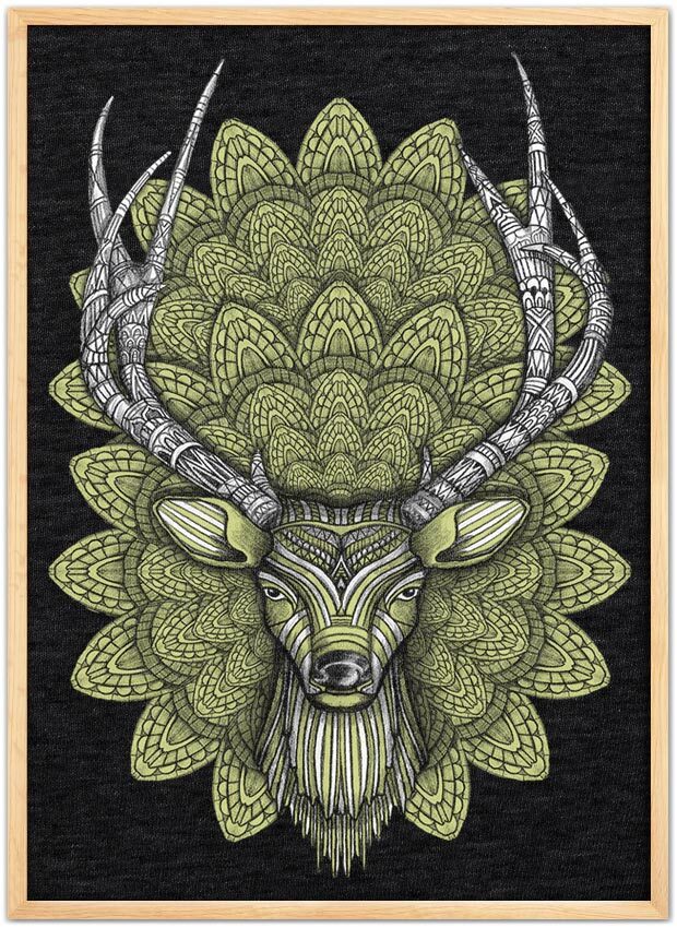 Buck Head