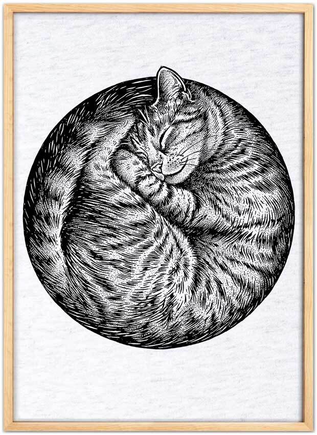 Cat Nap