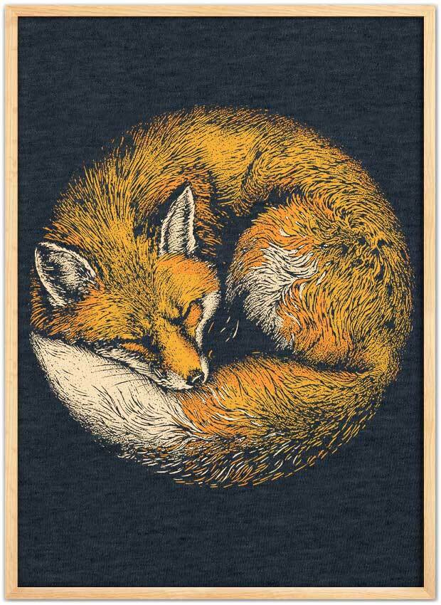 Fox Nap