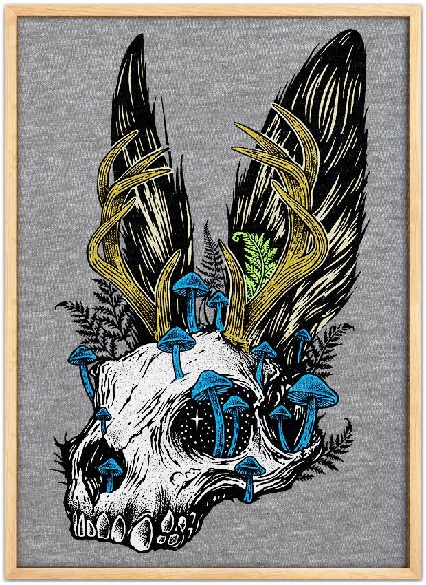 Jackalope Skull