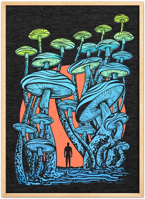 Mushroom Forest