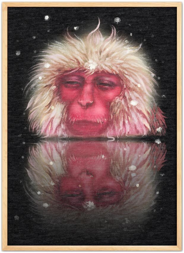 Snow Monkey