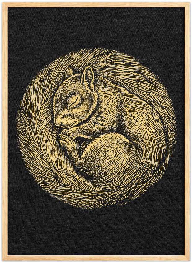 Squirrel Nap