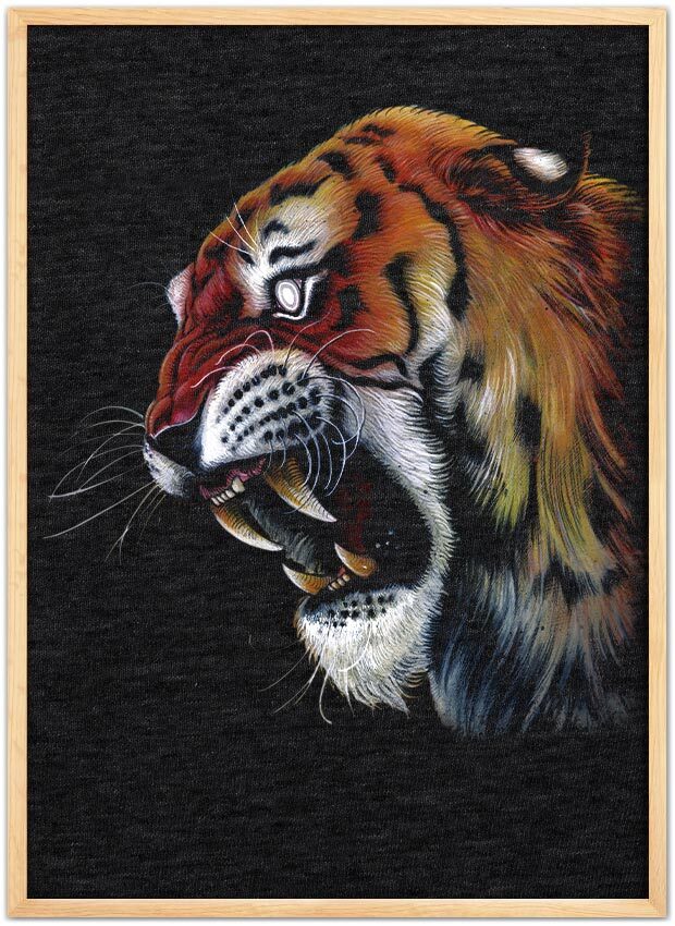 Tigers Head