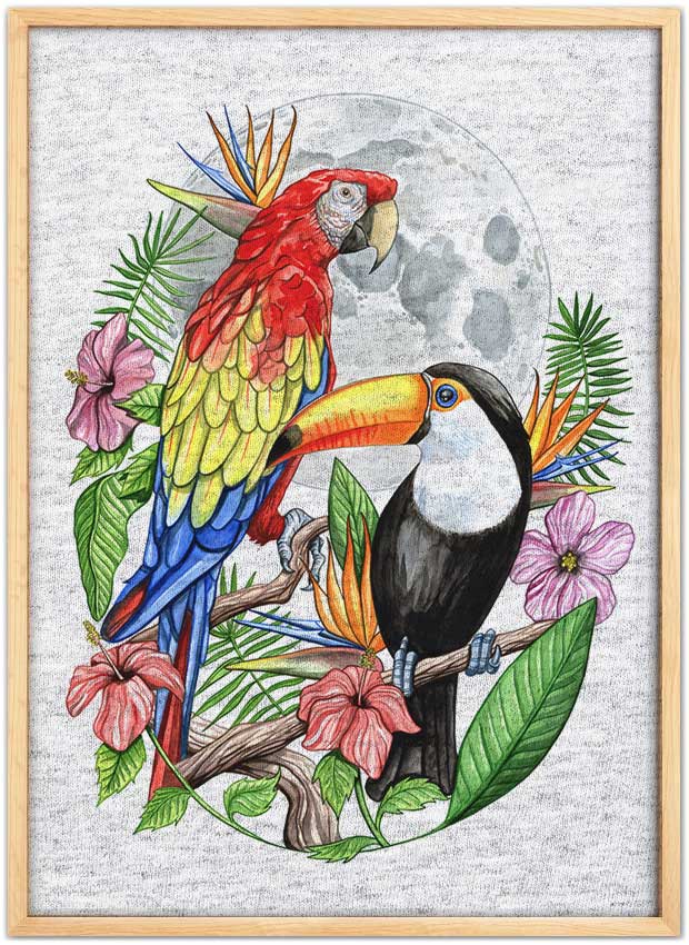 Tropical Birds