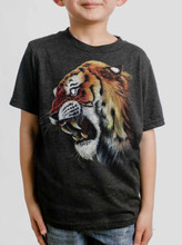 Tiger's Head - Multicolor on Heather Black Triblend Youth T-Shirt