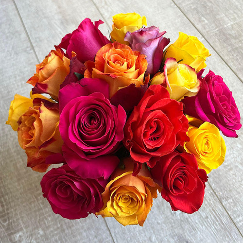  Vibrant Roses 