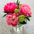Pretty Peonies