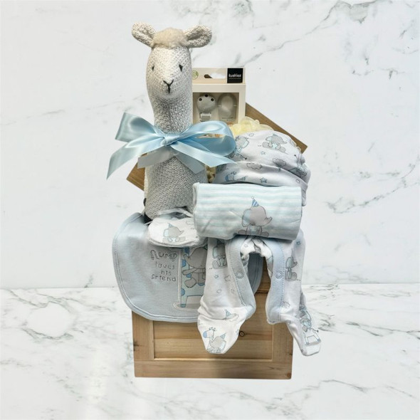 Baby boy gift basket for welcoming newborns