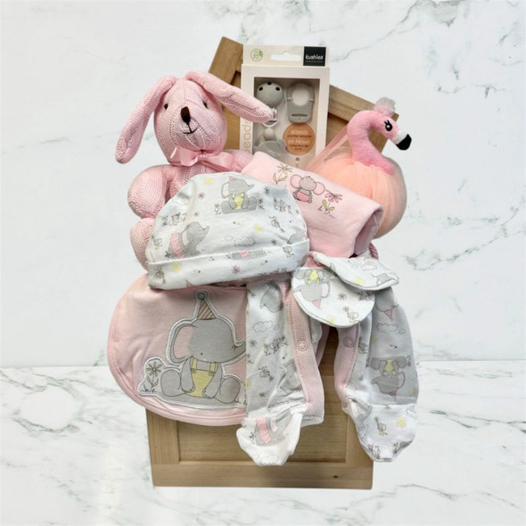 Luxury baby girl gift basket with cuddly toys and clothing 