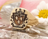 Goggon Family Crest Engraved Signet Ring in Silver or Gold, choice of mantles, helmets and styles