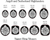 Head shape example layouts