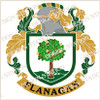 Flanagan Family Crest Ireland Instant Digital Download, Vector pdf in full colour and black and white.