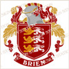 Brien Family Crest Ireland Instant Digital Download, Vector pdf in full colour and black and white.