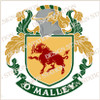 O'Malley Digital Family Crest, Vector pdf file available for download on purchase