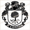 O'Connor of Don Family Crest Ireland PDF Instant Download,  design also suitable for engraving onto our cufflinks, signet rings and pendants.