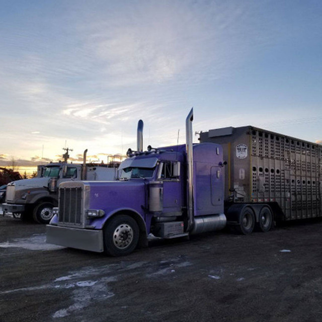 Short 30 top stack mounted