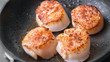 Colossal Canadian Diver Scallops 5 lbs  (UNDER 10 PER pound)