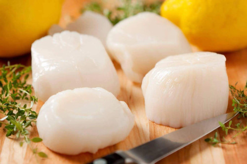 Canadian Diver Scallops 5 lbs