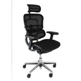 Ergohuman Elite Mesh Office Chair 