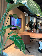 A Fresh Perspective: My visit to the Orangebox showroom A Fresh Perspective: My visit to the Orangebox showroom