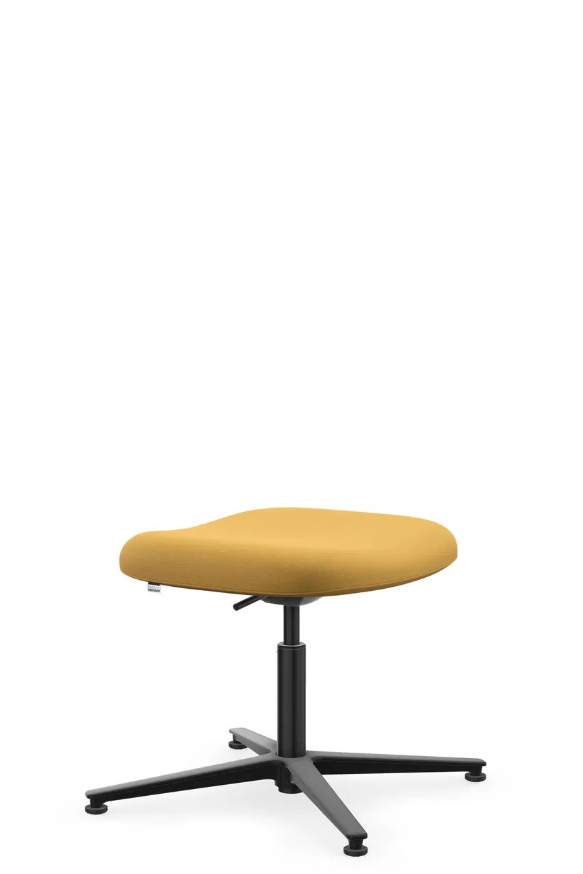 Interstuhl Check Lounge & Conference Chair