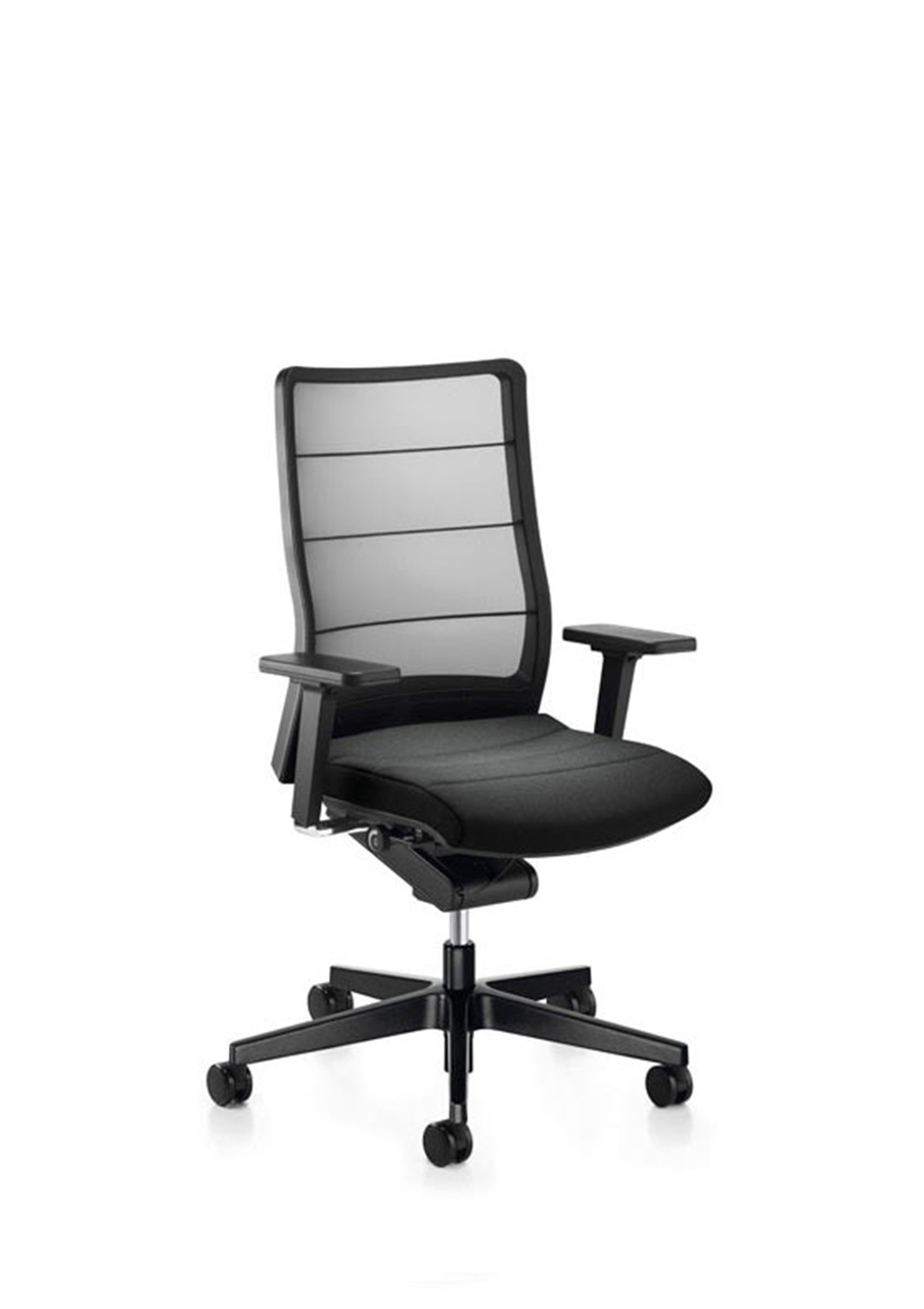 Interstuhl Airpad Mesh Swivel Task Chair