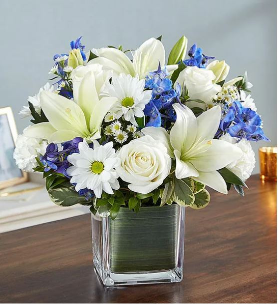 Healing Tears [Blue & White] - Arizona Rose & Flower Company