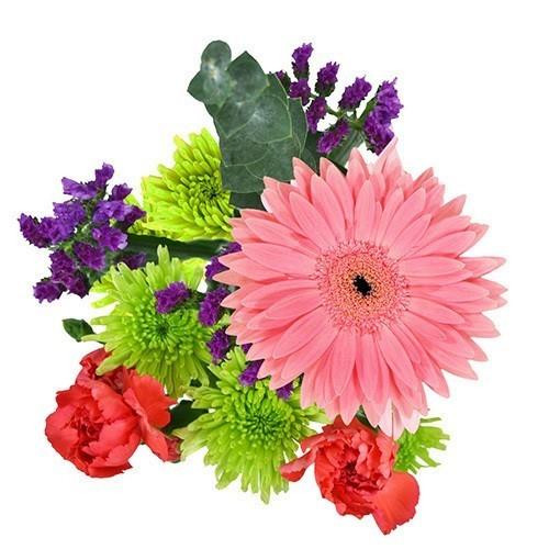 Dance Recital Pink Gerberas
