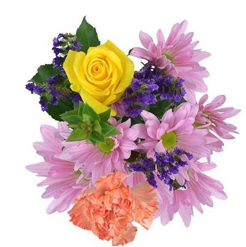 Dance Recital Yellow Roses