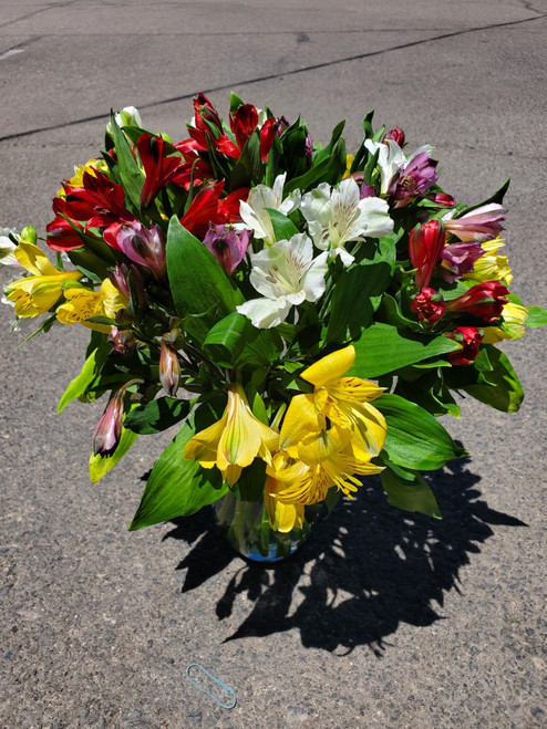 100 Blooms of Alstroemeria