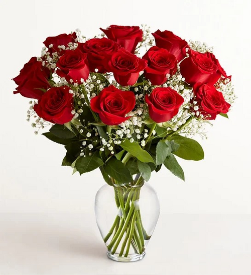 Long Stem [Red] Roses (12-18 Stems)