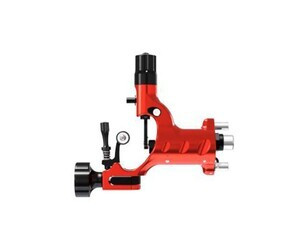 Dragonfly & Stingray