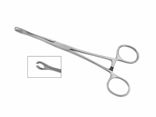 Skin Piercing Tools - Sponge Forceps - Slotted