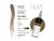 Nuva Colors - Eyebrow - 115 Grey - 15 ml / 0.5 oz