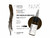Nuva Colors - SMP - 310 Medium Brown - 15 ml / 0.5 oz