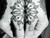 3ntini - Tattoo Flash Photo - Mani Tattoo