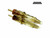 Kwadron - Cartridges - Magnums - Box of 20