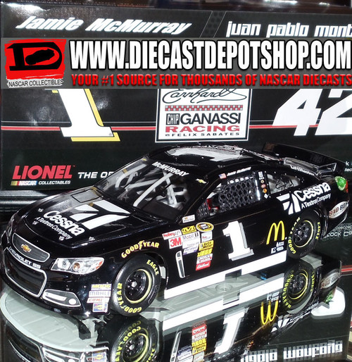 JAMIE MCMURRAY 2013 