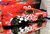 KEVIN HARVICK 2002 JELLY BELLY SNAP-ON 1/24 ACTION