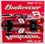 DALE EARNHARDT JR 2024 BUDWEISER LATE MODEL *LIQUID COLOR*  1/24 ACTION DIECAST (TEMPORARILY SOLD OUT)